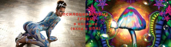 дмт Арсеньев