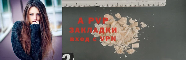ПСИЛОЦИБИНОВЫЕ ГРИБЫ Костерёво