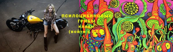 спайс Аркадак